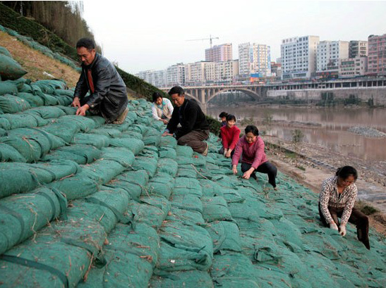 重慶生態(tài)袋河道綠化